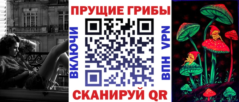 Купить закладки Купино Псилоцибиновые грибы Magic Shrooms